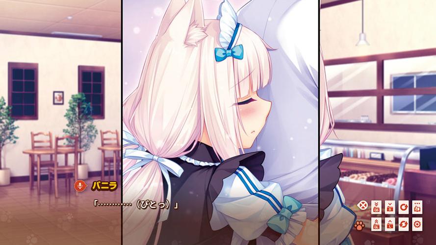 猫娘乐园补丁缩略图