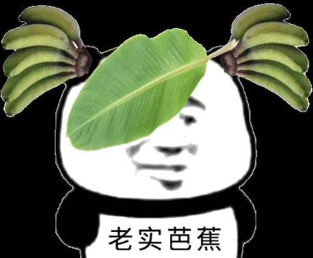 搞笑表情包下载缩略图