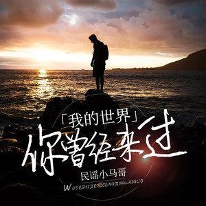 我的世界你来过完整版缩略图