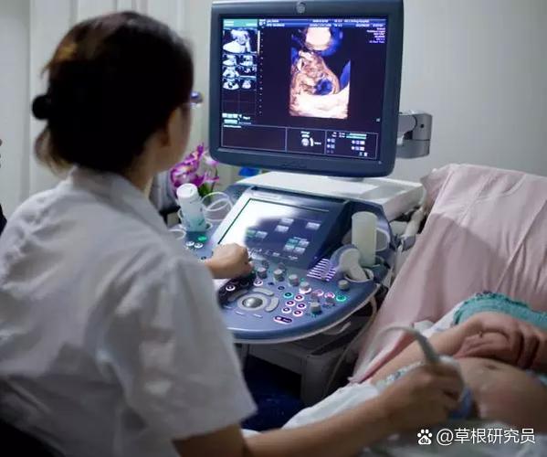 豆豆是女孩还是男孩缩略图