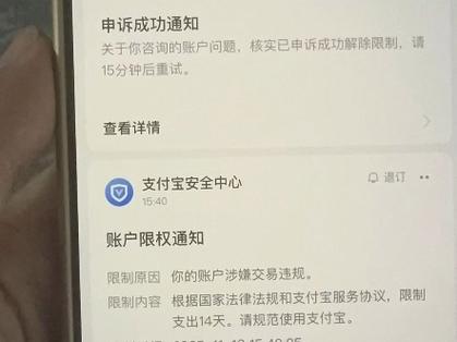 支付宝存在异常是怎么回事缩略图