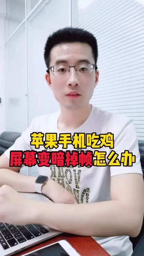 xs吃鸡屏幕变暗掉帧缩略图