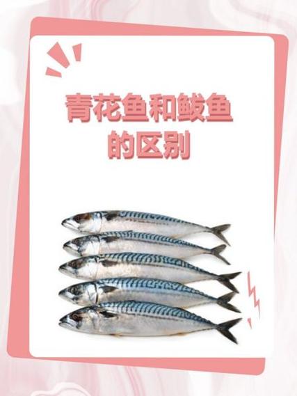 青花鱼和青鱼哪个好吃缩略图