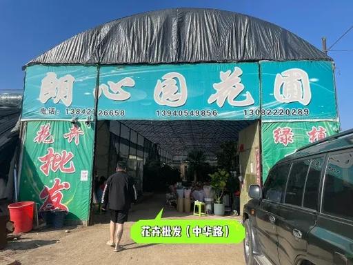 上海最大花卉批发基地游戏截图
