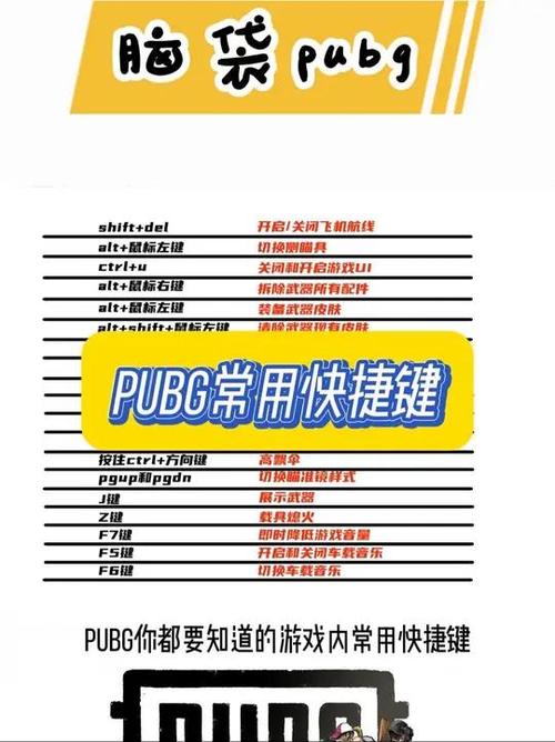 pubg启动文件是哪个缩略图
