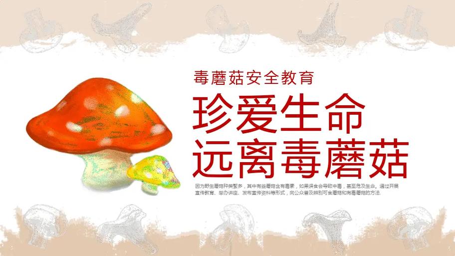 蘑菇教育培训中心缩略图