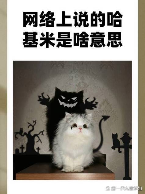 哈基米梗的含义缩略图