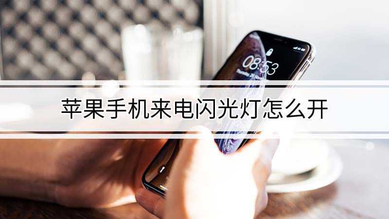苹果11来电闪光灯在哪里开游戏截图