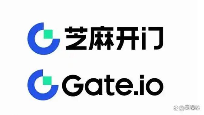 肖开玉芝麻投开门公司缩略图