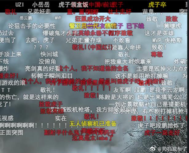 手机b站弹幕显示不全缩略图