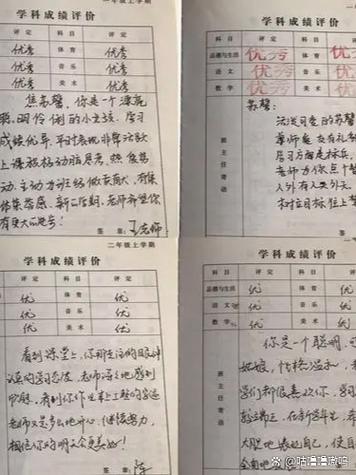 综合评价模板缩略图