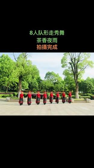 茶香夜雨古典舞视频缩略图