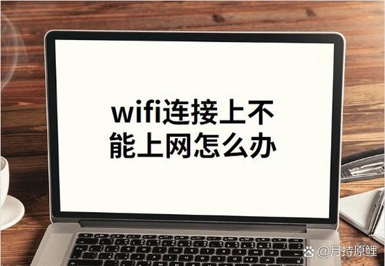 网络连接但是不能上网缩略图