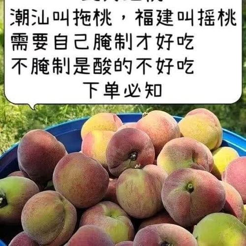 是小甜桃吗缩略图