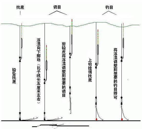 新手钓鱼的技巧缩略图