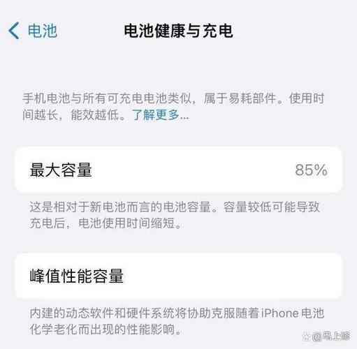 苹果电池充放电次数寿命缩略图