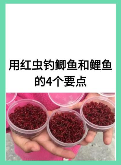 钓鱼红虫是什么缩略图