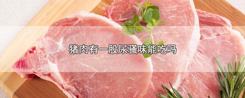猪肉有股尿骚味还能吃吗缩略图