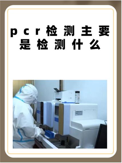 pcr生殖感染全面检查多少钱缩略图