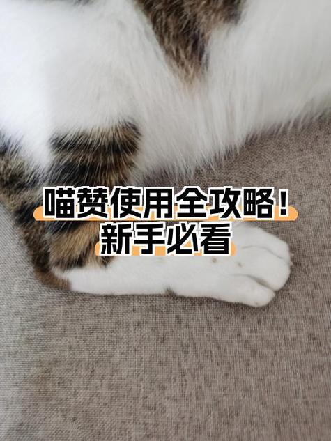 类似于喵赞的APP缩略图