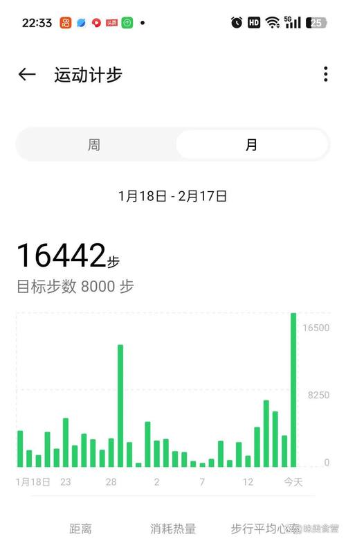 下载每天走路计步器免费缩略图