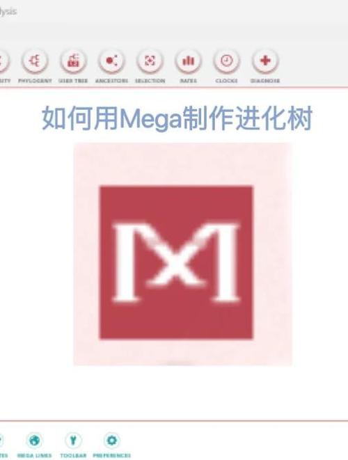 mega软件使用教程缩略图