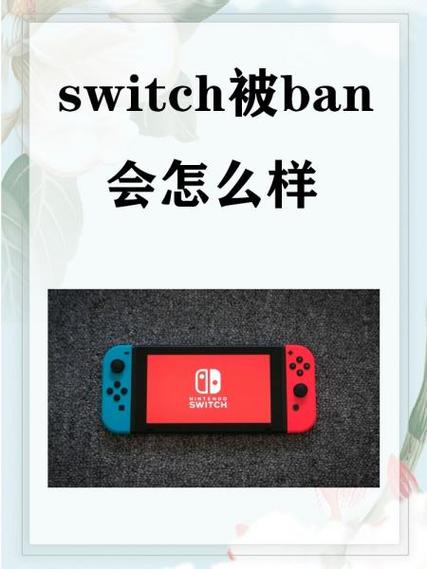 switch ban原因分析游戏截图