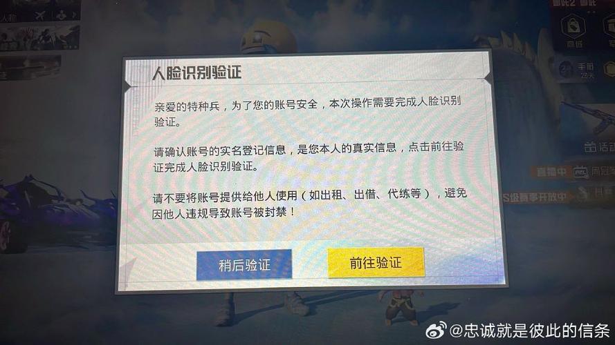 吃鸡身份验证人脸识别失败游戏截图