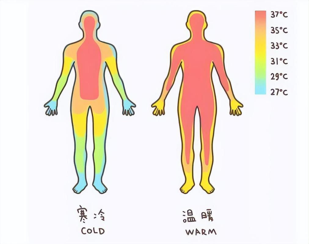 人体能承受的最高水温缩略图