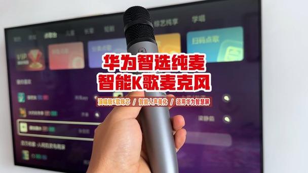 纯麦麦克风设置缩略图