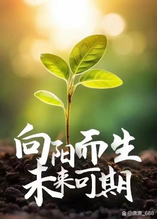 激励自己好好生活的句子游戏截图