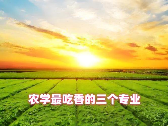 农学最吃香的三个专业缩略图