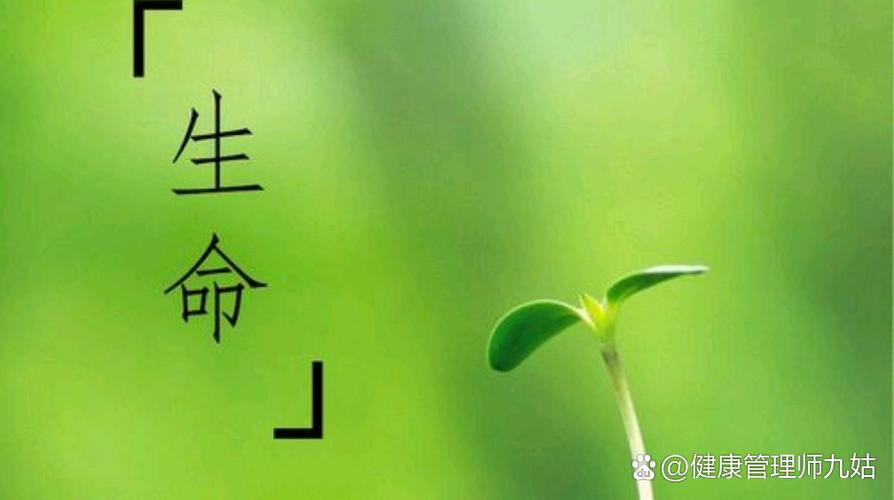 快乐的三大源泉缩略图