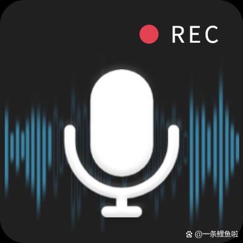 录音恢复软件免费下载缩略图