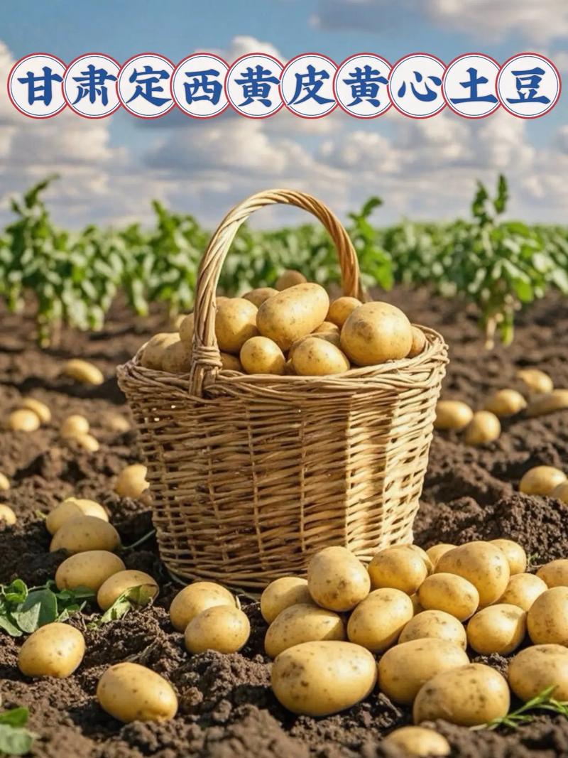 土豆下载安装官方免费版缩略图