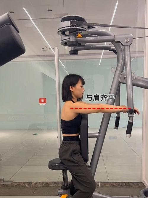 器械反向飞鸟练什么部位缩略图