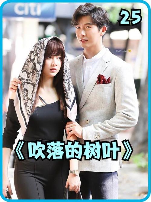 吹落的树叶电视剧免费观看游戏截图