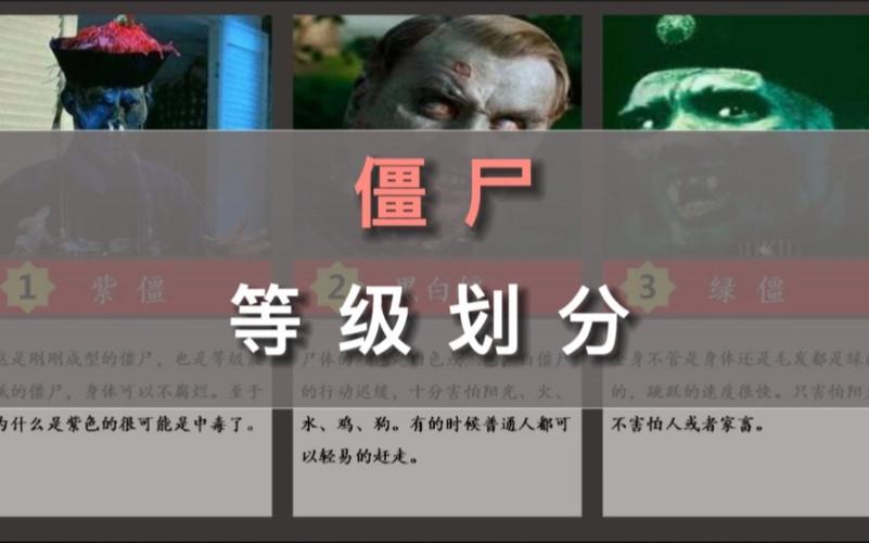 僵尸境界一览表游戏截图