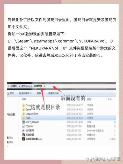 中文汉化补丁怎么安装图标