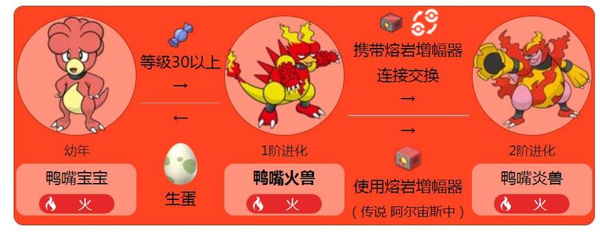 鸭嘴宝宝进化图缩略图