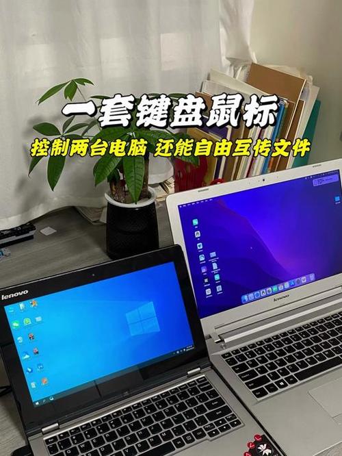 两台电脑一个鼠标控制图标