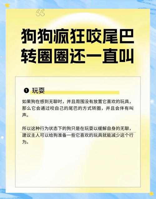 远离疯狗的搞笑图片游戏截图