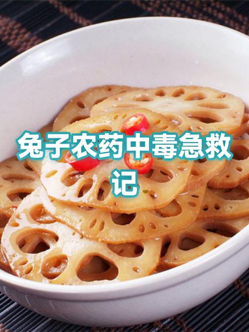 兔子最怕的农药游戏截图