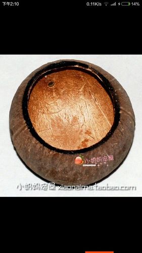 如何打开椰子壳游戏截图
