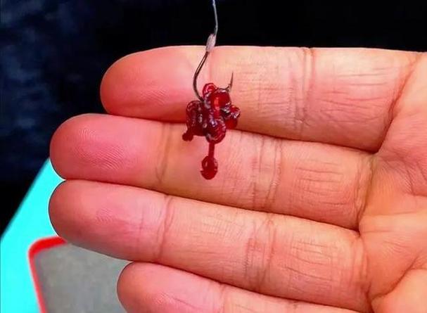 钓鱼怎么挂红虫游戏截图