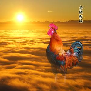 金鸡吉祥图片缩略图