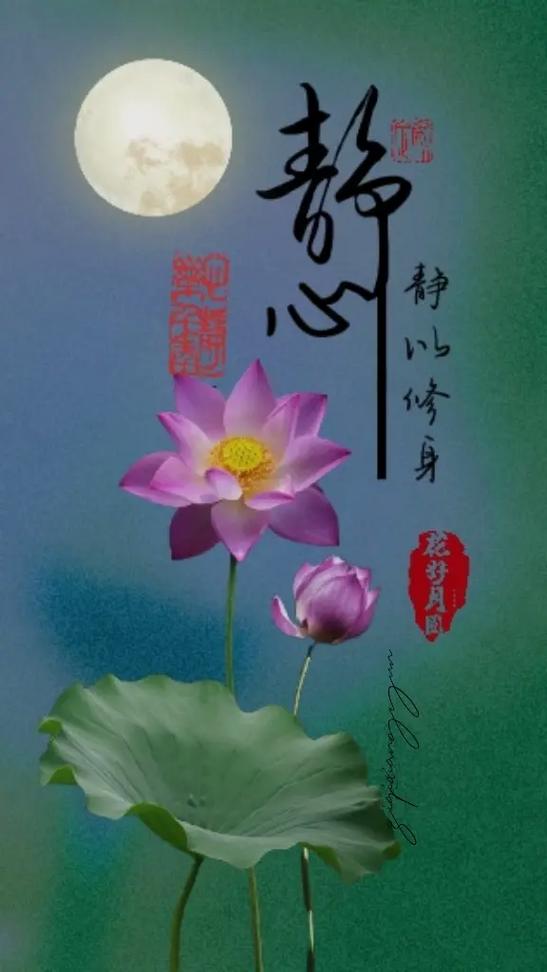 没有静音但是来电没有铃声缩略图