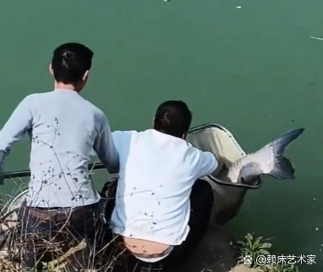 鱼塘钓大鱼的技巧缩略图