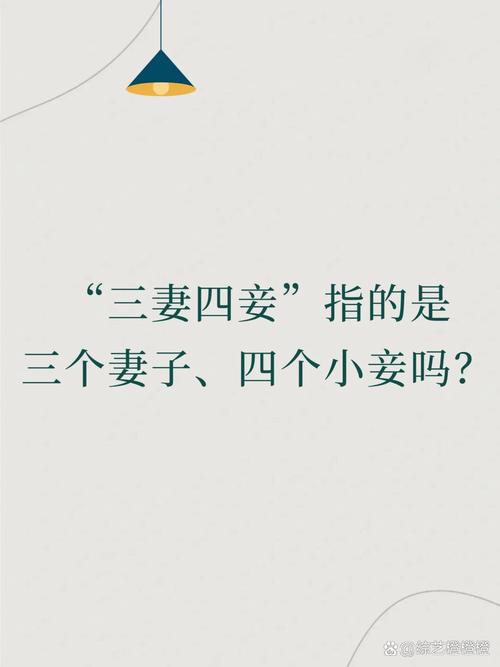 三妻四妾国语版电视剧免费播放2026春缩略图