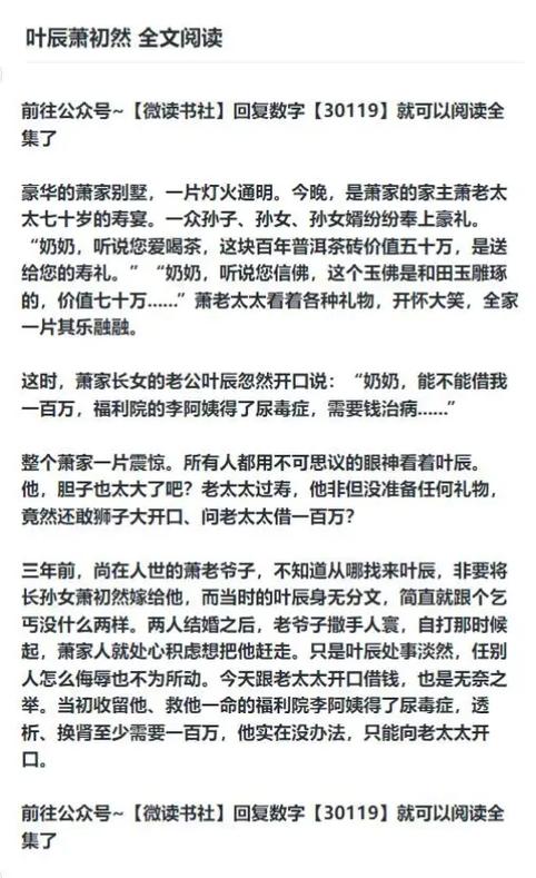 叶辰小说免费阅读全文免费阅读缩略图
